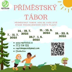 primestsky-tabor-2025.jpg